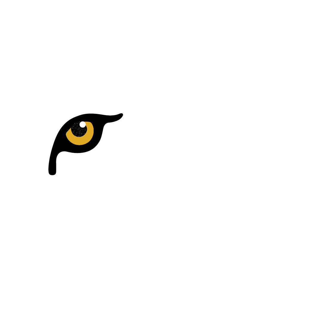 leopardleads.ae
